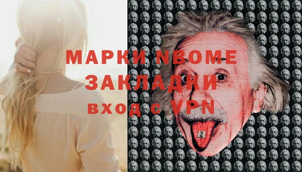 индика Армянск