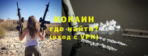 индика Армянск