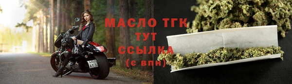 хмурый Арсеньев