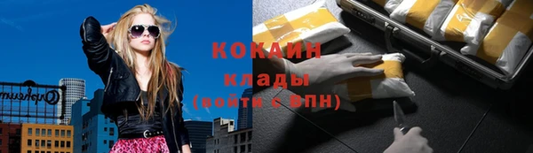 индика Армянск