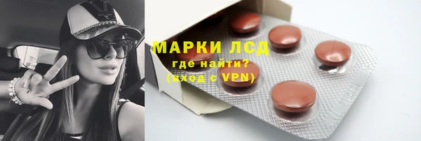 индика Каменногорск