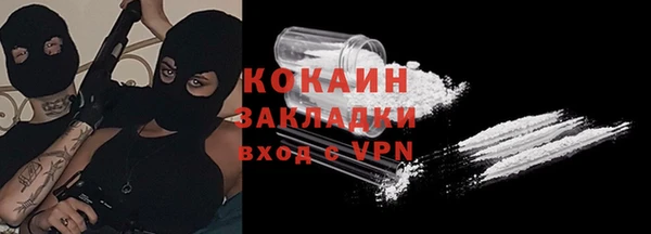 хмурый Арсеньев