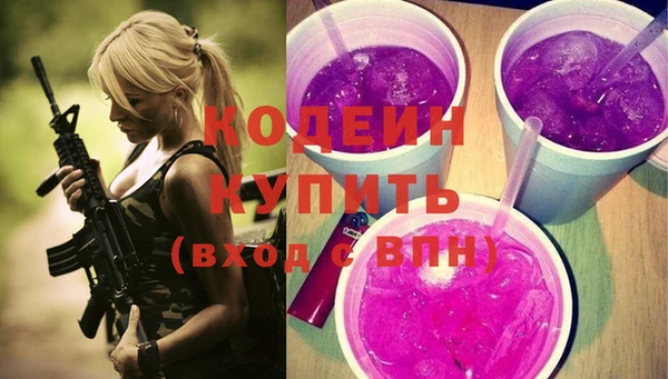 хмурый Арсеньев