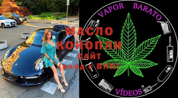 индика Армянск