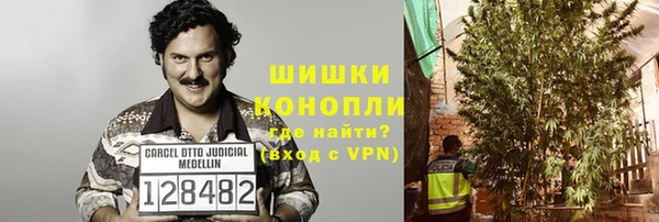 хмурый Арсеньев