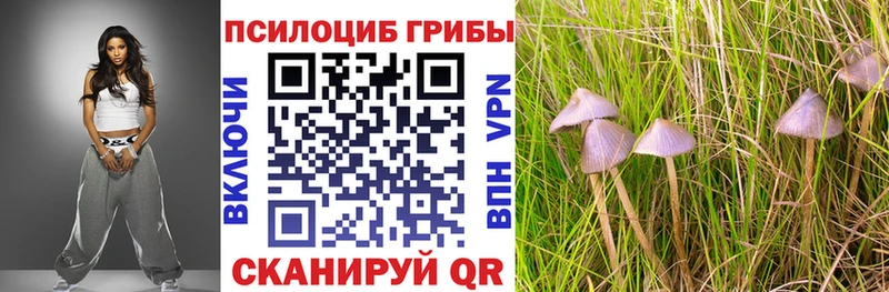 Галлюциногенные грибы Cubensis  ссылка на мегу маркетплейс  Пугачёв 